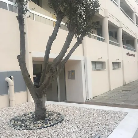 Marina 211